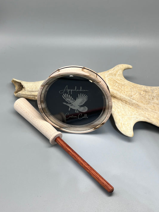 Ambrosia Maple w/Black ACC logo